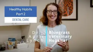 Healthy Habits of the Diligent Pet Owner 🐾 | Part 2: Dental Care for Cats & Dogs
