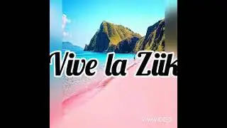 🔻DJ LIIKS X ZOUK MASHUP REMIX ... 2K21🇳🇨🇳🇨
