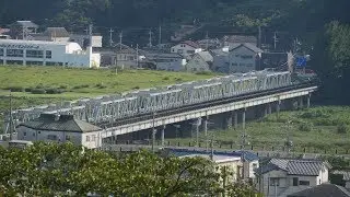 渡良瀬橋と八雲神社
