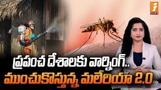 మళ్లీ విజృంభిస్తున్న మలేరియా | WHO Warning On Malaria | InDepth
