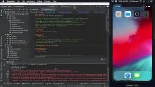 Flutter for the Impatient - 7 - Display Google Maps