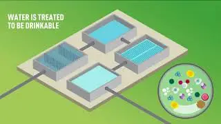 Where does tap water come from? The water cycle : PENTAIR - EVERPURE &reg; / DASK Services - Cyprus