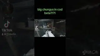 the funniest #cod #beta #codbeta #chungus #comment #like #short #funny