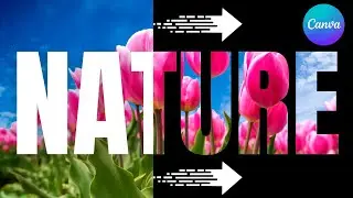 Линейный переход стирания &mdash; инвертировать эффект стирания в Canva