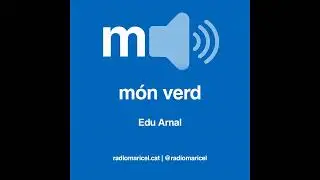 Món verd: el ficus d’una cantonada concorreguda, i altres coses