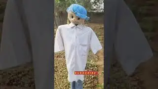 🥰Harvesting Garden||Fresh vegetable|| #food #viral #harvesting #dance