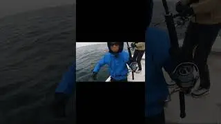 #fishing #shorefishing #fishing #automobile
