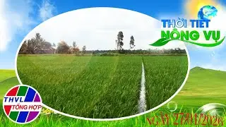 Thời tiết n&ocirc;ng vụ 19h05 (27/01/2026)