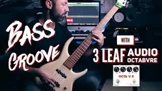 Bass Groove // with 3 Leaf Audio OCTABVRE