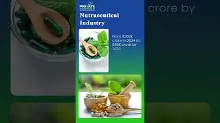Exploring the Booming Growth of Ayurvedic & Nutraceutical Industries 🌿💊| Privateplacements.in