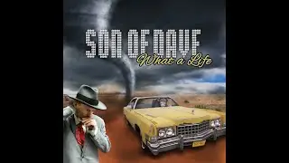 What a Life - Son Of Dave official