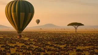 Balloons & Beasts - A Serengeti Sky Safari