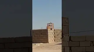 محاوله صيد بلبل بس فحطني 😂😂😂😂