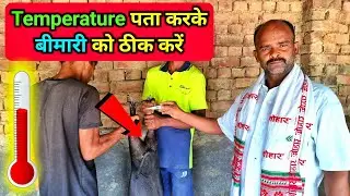 Pig Temperature 🌡️| सूअर का टेंपरेचर कैसे नापे | Suwar ka Boday Temperature Kaise Naape | Pig Treat