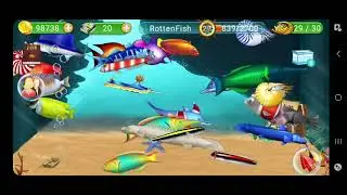 Fish Live Theme Song High Quality