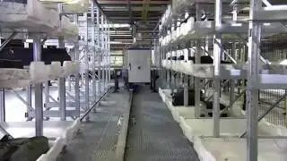 Early Baggage Storage System