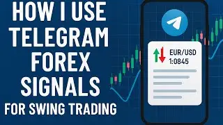 Free vs Paid Telegram Forex Signals | Real Account Test