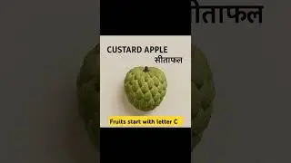 Fruits Start With Letter C || #fruit #englishmeanig #cherry
