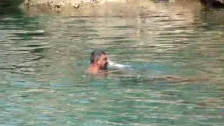 MOV02142