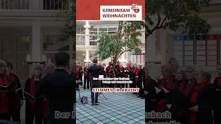 🎶 Adventsmoment mit dem 𝐅𝐫𝐚𝐮𝐞𝐧𝐜𝐡𝐨𝐫 𝐓𝐚𝐮𝐛𝐚𝐜𝐡 im Foyer und den Felseng&auml;rten.