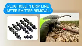 Plug a hole in drip line #spring #dripirrigation #sprinkler #utah #diy