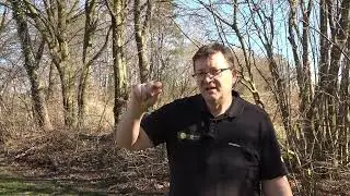 Rasenprobleme durch Rasen-Verfilzung Schatten Moos, Mulchen was sollte man beachten?