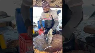 Amazing TUNA Fish Cutting Mastery 🤯 20 Secs Expert KNIFE Skills #fishcutting #cuttingskills #shorts