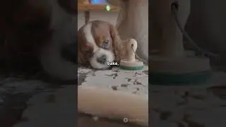 cute dog craft ideas 2025