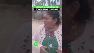 Diputada de Los Cabos denuncia caso de maltrato animal en Las Palmas
