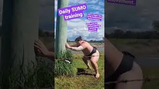 Daily sumo teppo #Sumo #wrestling #training #strength #workout #grappling #martialarts #workout