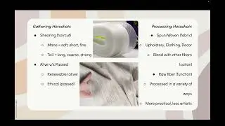 Mason Lloyd  - Horsehair Fiber Research Project