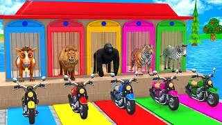 Long Slide Game with Cow Elephant Gorilla Hippopotamus Tiger 3d Animals #pawpatrol #satisfying #usa 