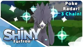 [Live] 3 Chain Shiny Furfrou in Poke Radar with fast music!
