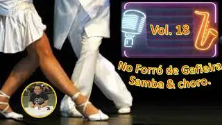 NO FORRÓ DE GAFIEIRA   VOL 18