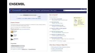 - Nucleotide Sequences - ENSEMBL
