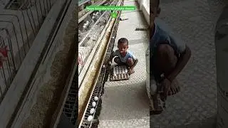 My cute son Eggs collection#short #viral #video #layerpoultryfarm #eggfarm #andafarm