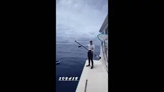 Sup surfing🌊 in paradise Maldives Part-11 #maledives #viral #automobile #shorts#youtubeshorts