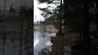 Calion, Ar River Flooded Riding