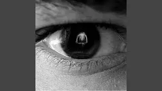 Ojos mudos