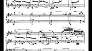 Catoire - Piano Concerto Op.21 (II)