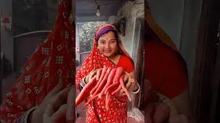 #szorty #gajarkahalwa #gnaahandisala