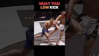 Tutorial Lower Kick #shortsfeed #ytshorts #shorts #mma