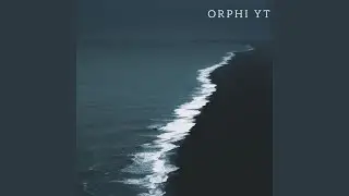 Fin