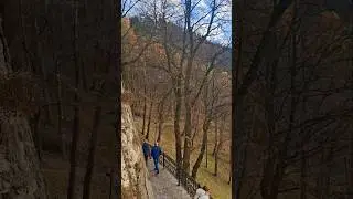 Beautiful View 🇷🇴Romania #Transylvania #Travel shorts #Travel video