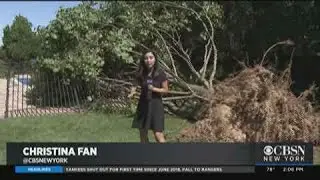 Tornado Touches Down In Manorville