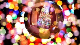 🎄 