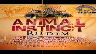 ANIMAL INSTINCT  RIDDIM 2013 MIX PAPI DON MANNIY