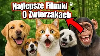 145 Najlepszych Filmików O Zwierzakach 🐾