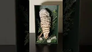 Autonomous Owl Behaviours