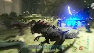 Ark official Defense!!!